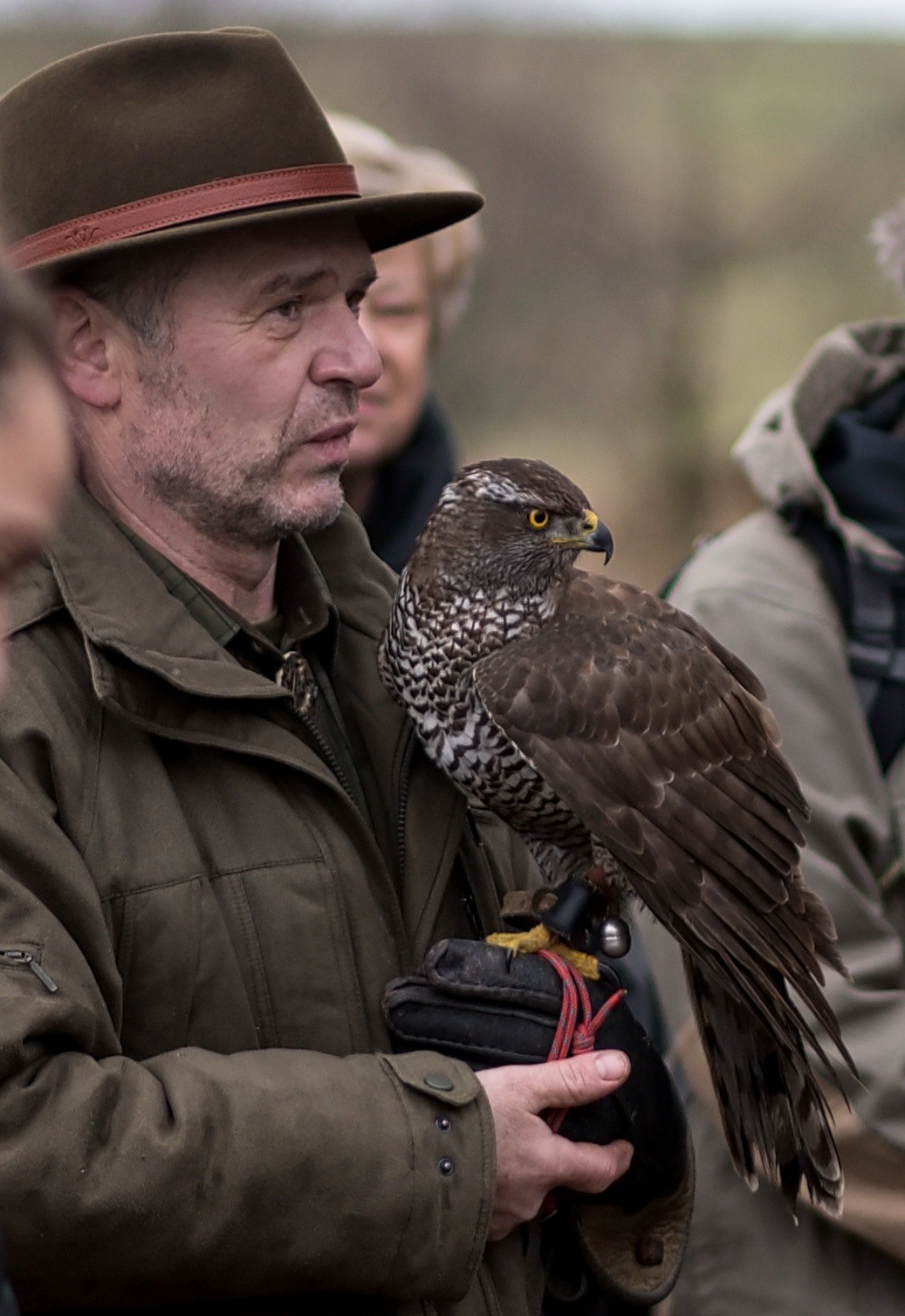 Ukázka lovu cvičenými dravci 